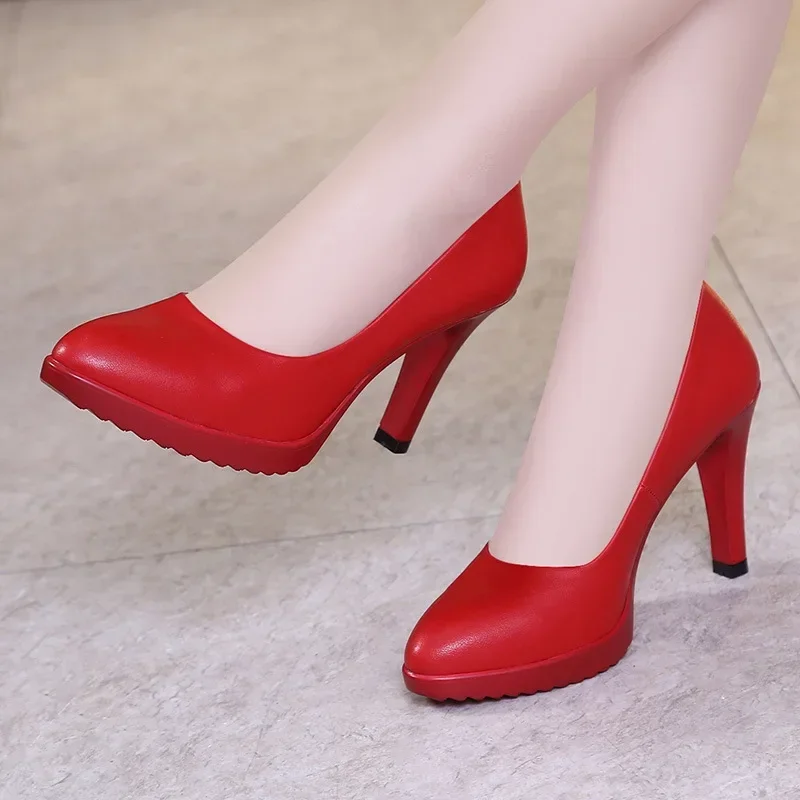 8cm Small Size 32-43 New Shall - Court Heel Pointed 리뷰 및 가격